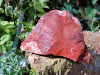 Natural Brecciated Jasper Cobbed Pieces x 19 From South Africa