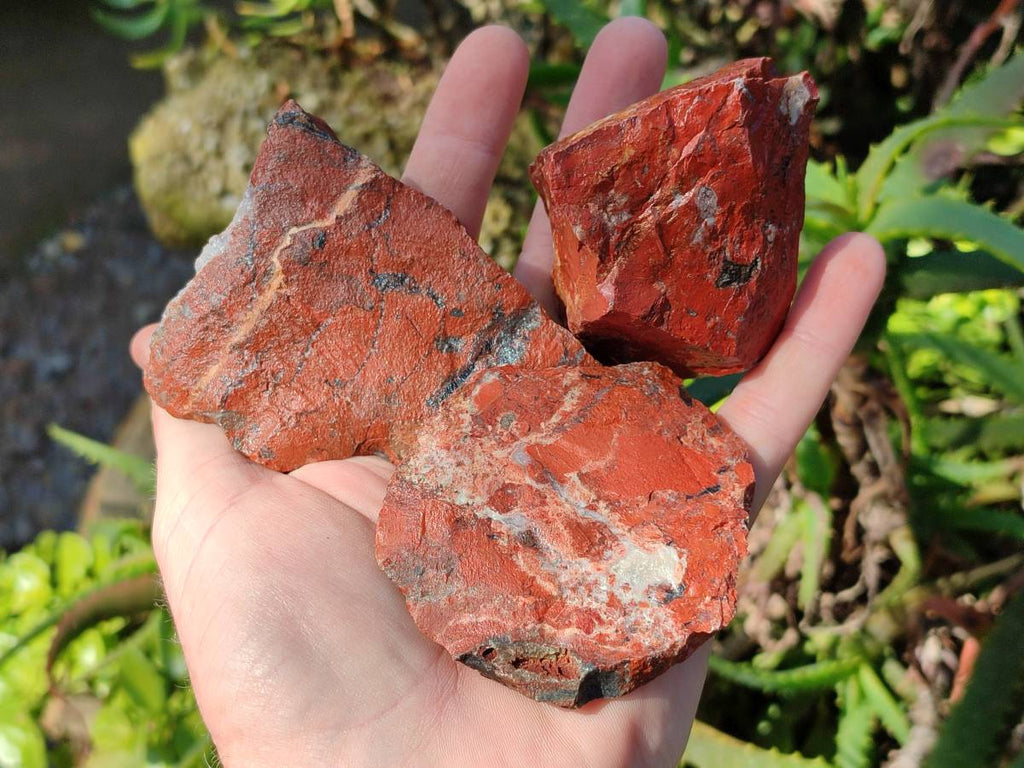 Natural Brecciated Jasper Cobbed Pieces x 19 From South Africa - Toprock Gemstones and Minerals 