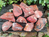 Natural Brecciated Jasper Cobbed Pieces x 19 From South Africa