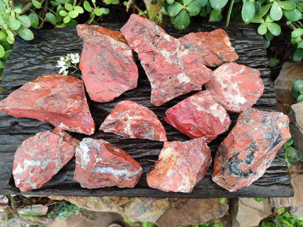 Natural Brecciated Jasper Cobbed Pieces x 19 From South Africa