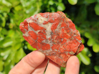 Natural Brecciated Jasper Cobbed Pieces x 19 From South Africa