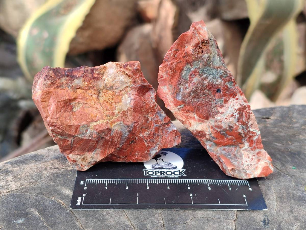 Natural Brecciated Jasper Cobbed Pieces x 19 From South Africa - Toprock Gemstones and Minerals 