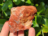 Natural Brecciated Jasper Cobbed Pieces x 19 From South Africa
