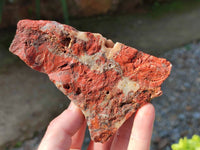 Natural Brecciated Jasper Cobbed Pieces x 19 From South Africa