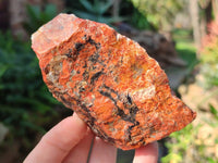 Natural Brecciated Jasper Cobbed Pieces x 19 From South Africa