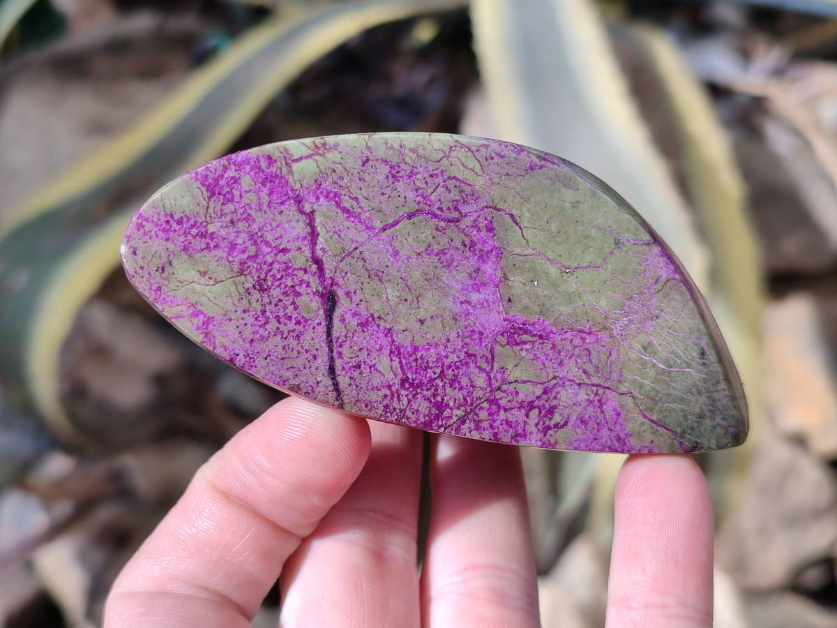 Polished Stichtite Free Forms x 4 From Barberton, South Africa - Toprock Gemstones and Minerals 