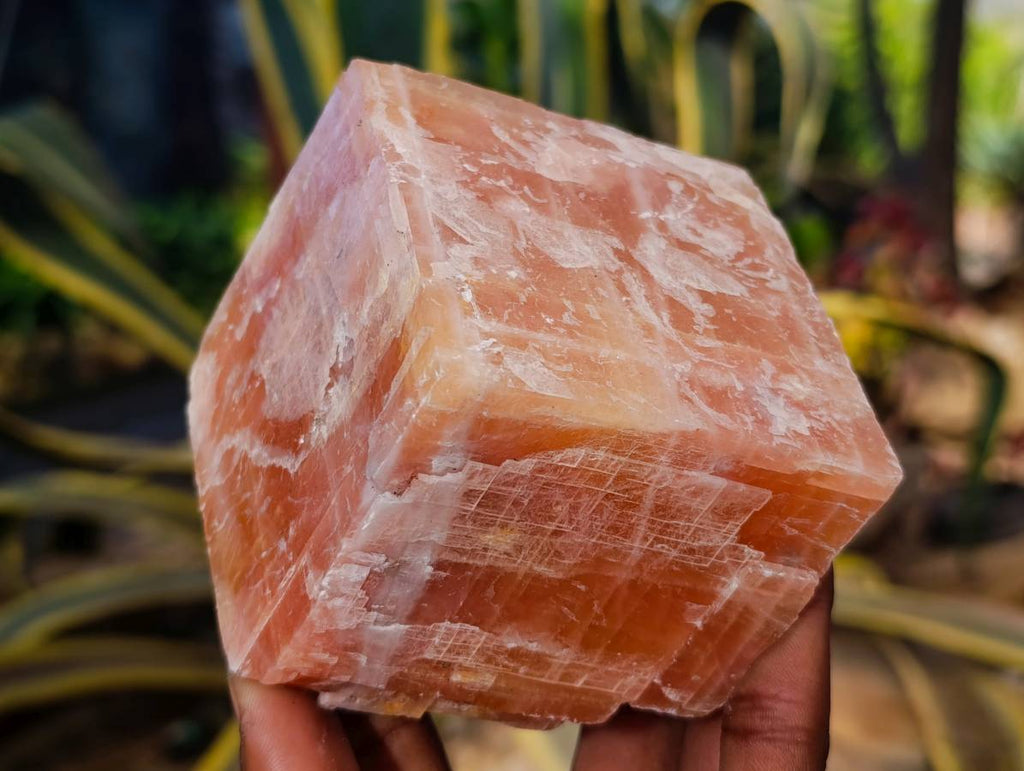 Natural Sunset Orange Calcite Specimens x 6 From Spitzkop, Namibia - Toprock Gemstones and Minerals 