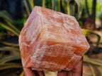 Natural Sunset Orange Calcite Specimens x 6 From Spitzkop, Namibia - Toprock Gemstones and Minerals 