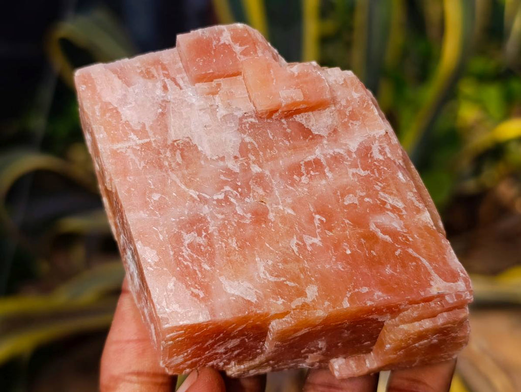 Natural Sunset Orange Calcite Specimens x 6 From Spitzkop, Namibia - Toprock Gemstones and Minerals 