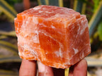 Natural Sunset Orange Calcite Specimens x 6 From Spitzkop, Namibia - Toprock Gemstones and Minerals 