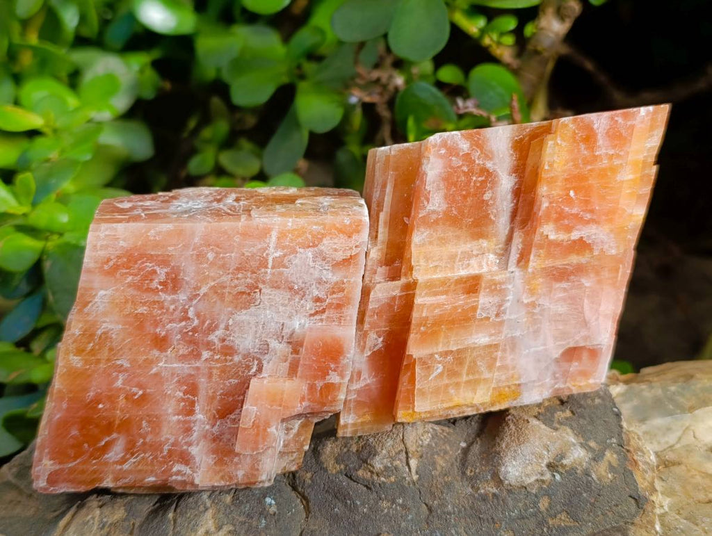 Natural Sunset Orange Calcite Specimens x 6 From Spitzkop, Namibia - Toprock Gemstones and Minerals 