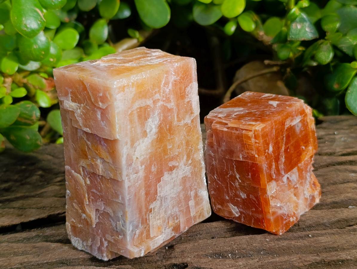 Natural Sunset Orange Calcite Specimens x 6 From Spitzkop, Namibia - Toprock Gemstones and Minerals 