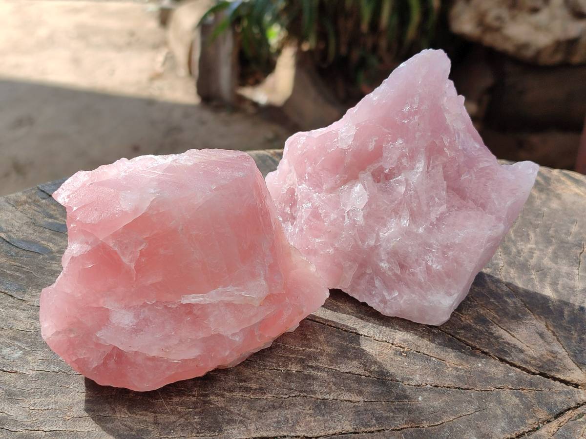Natural Pink Rose Quartz Cobbed Specimens x 12 From North Cape, South Africa - Toprock Gemstones and Minerals 