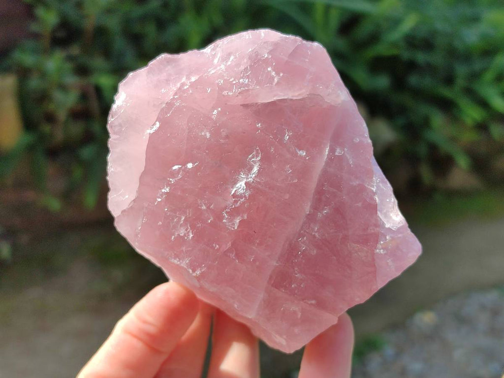 Natural Pink Rose Quartz Cobbed Specimens x 12 From North Cape, South Africa - Toprock Gemstones and Minerals 