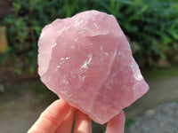 Natural Pink Rose Quartz Cobbed Specimens x 12 From North Cape, South Africa