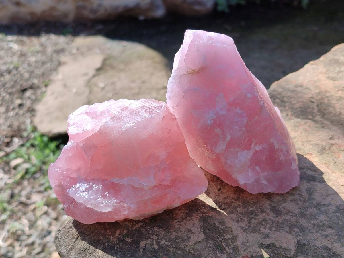 Natural Pink Rose Quartz Cobbed Specimens x 12 From North Cape, South Africa - Toprock Gemstones and Minerals 