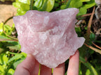 Natural Pink Rose Quartz Cobbed Specimens x 12 From North Cape, South Africa - Toprock Gemstones and Minerals 