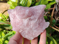 Natural Pink Rose Quartz Cobbed Specimens x 12 From North Cape, South Africa