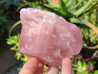Natural Pink Rose Quartz Cobbed Specimens x 12 From North Cape, South Africa