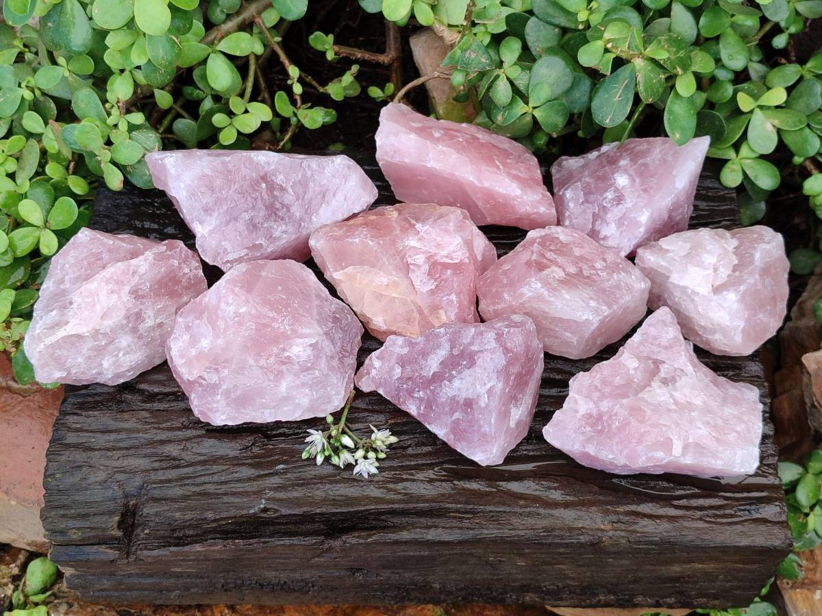Natural Pink Rose Quartz Cobbed Specimens x 12 From North Cape, South Africa - Toprock Gemstones and Minerals 