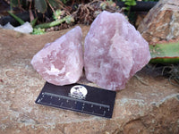 Natural Pink Rose Quartz Cobbed Specimens x 12 From North Cape, South Africa