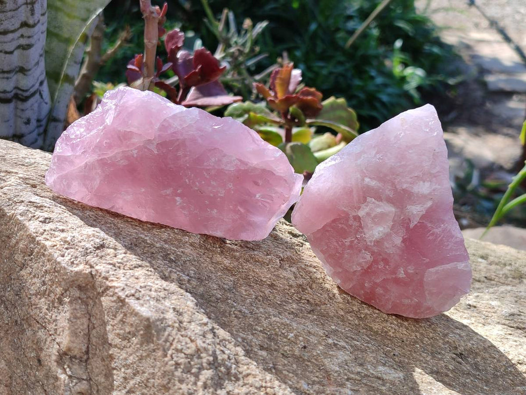 Natural Pink Rose Quartz Cobbed Specimens x 12 From North Cape, South Africa - Toprock Gemstones and Minerals 