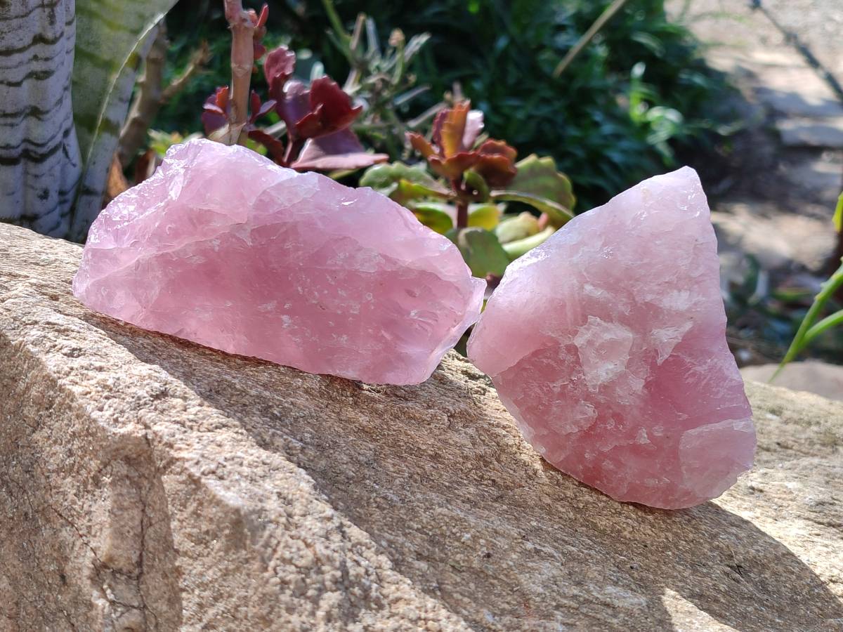 Natural Pink Rose Quartz Cobbed Specimens x 12 From North Cape, South Africa - Toprock Gemstones and Minerals 