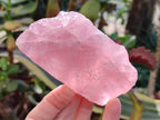 Natural Pink Rose Quartz Cobbed Specimens x 12 From North Cape, South Africa - Toprock Gemstones and Minerals 