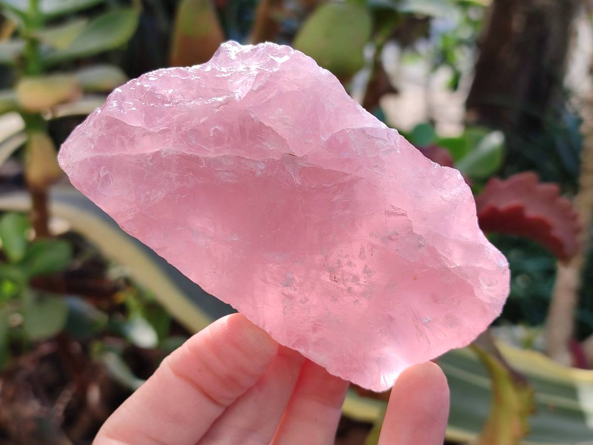 Natural Pink Rose Quartz Cobbed Specimens x 12 From North Cape, South Africa - Toprock Gemstones and Minerals 