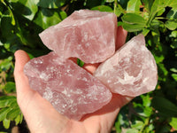 Natural Pink Rose Quartz Cobbed Specimens x 12 From North Cape, South Africa