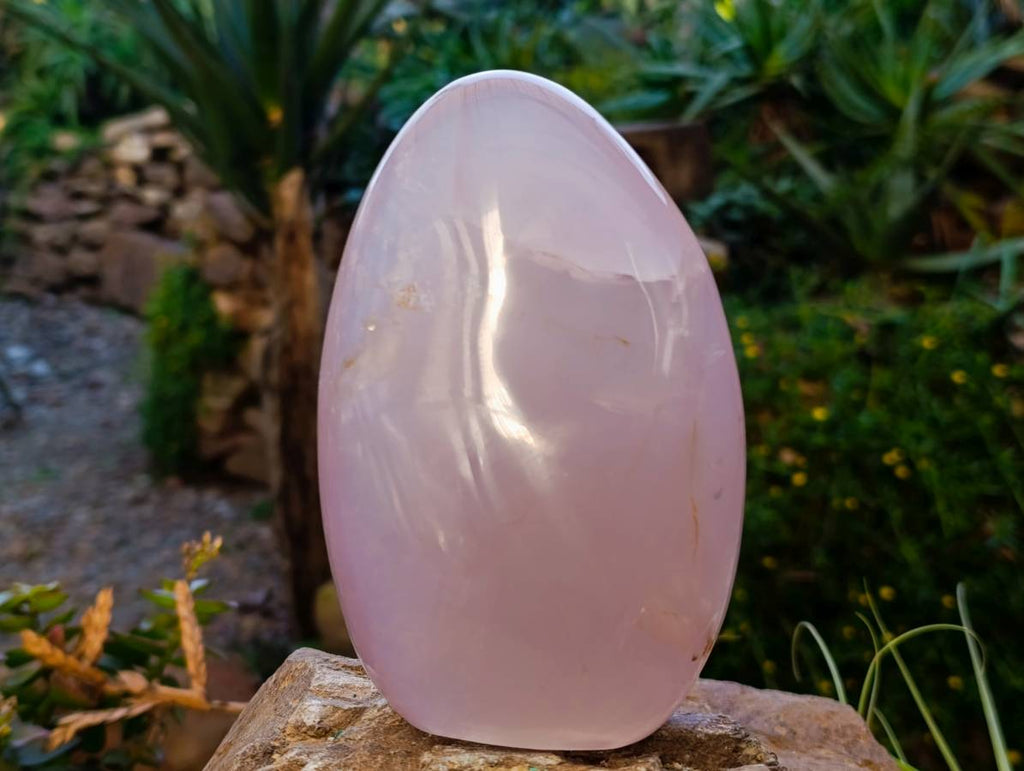 Polished Rose Quartz Standing Free Forms x 2 Madagascar - Toprock Gemstones and Minerals 