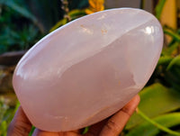 Polished Rose Quartz Standing Free Forms x 2 Madagascar