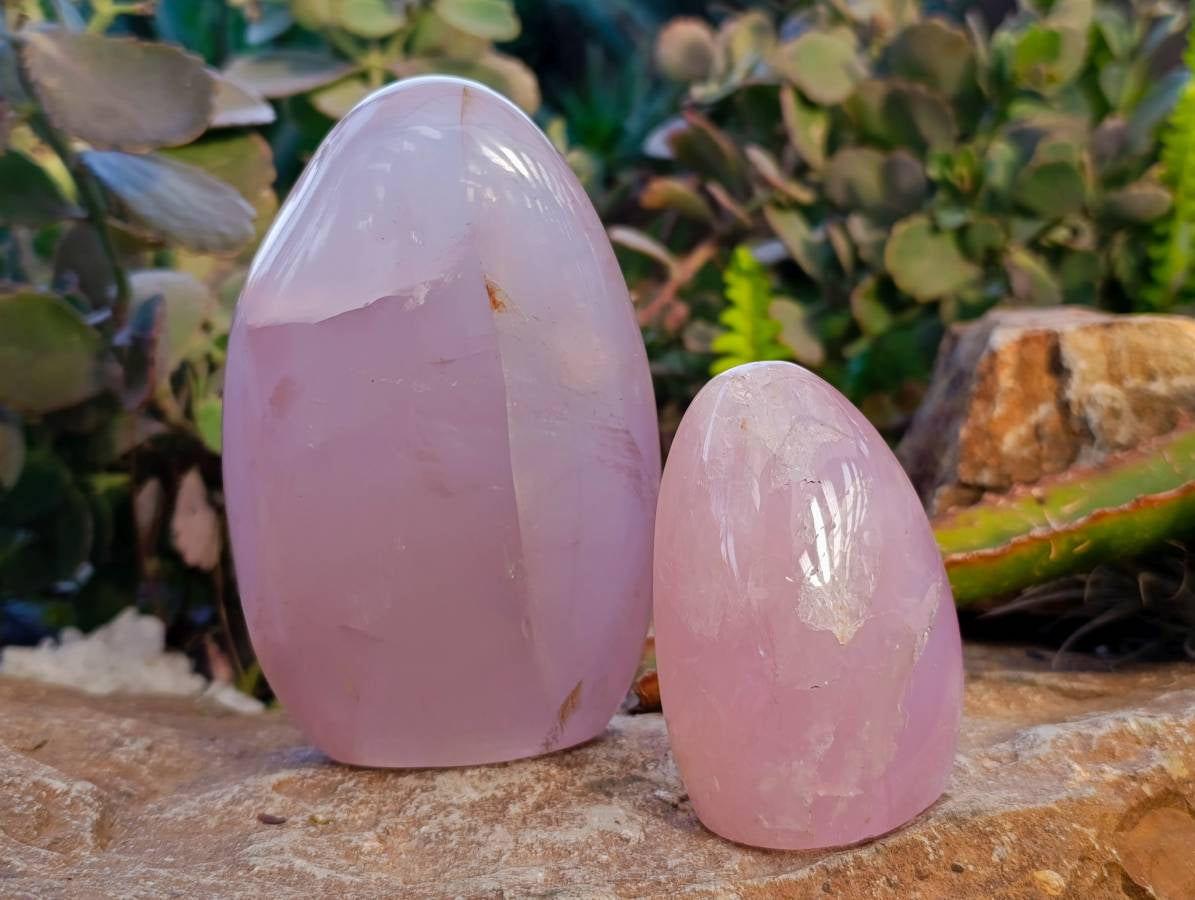 Polished Rose Quartz Standing Free Forms x 2 Madagascar - Toprock Gemstones and Minerals 