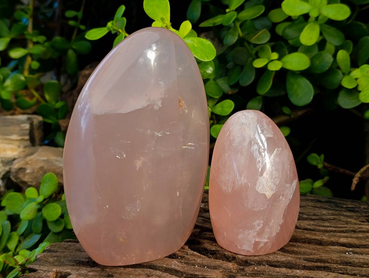 Polished Rose Quartz Standing Free Forms x 2 Madagascar - Toprock Gemstones and Minerals 