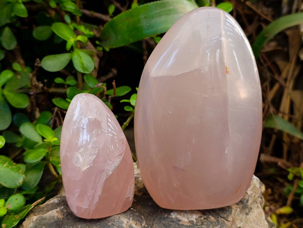 Polished Rose Quartz Standing Free Forms x 2 Madagascar - Toprock Gemstones and Minerals 