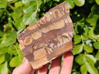 Natural Nguni Jasper Cobbed Specimens x 12 From Prieska, South Africa
