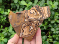 Natural Nguni Jasper Cobbed Specimens x 12 From Prieska, South Africa