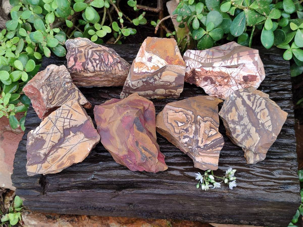 Natural Nguni Jasper Cobbed Specimens x 12 From Prieska, South Africa