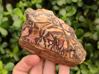 Natural Nguni Jasper Cobbed Specimens x 12 From Prieska, South Africa