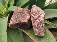 Natural Nguni Jasper Cobbed Specimens x 12 From Prieska, South Africa