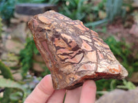 Natural Nguni Jasper Cobbed Specimens x 12 From Prieska, South Africa