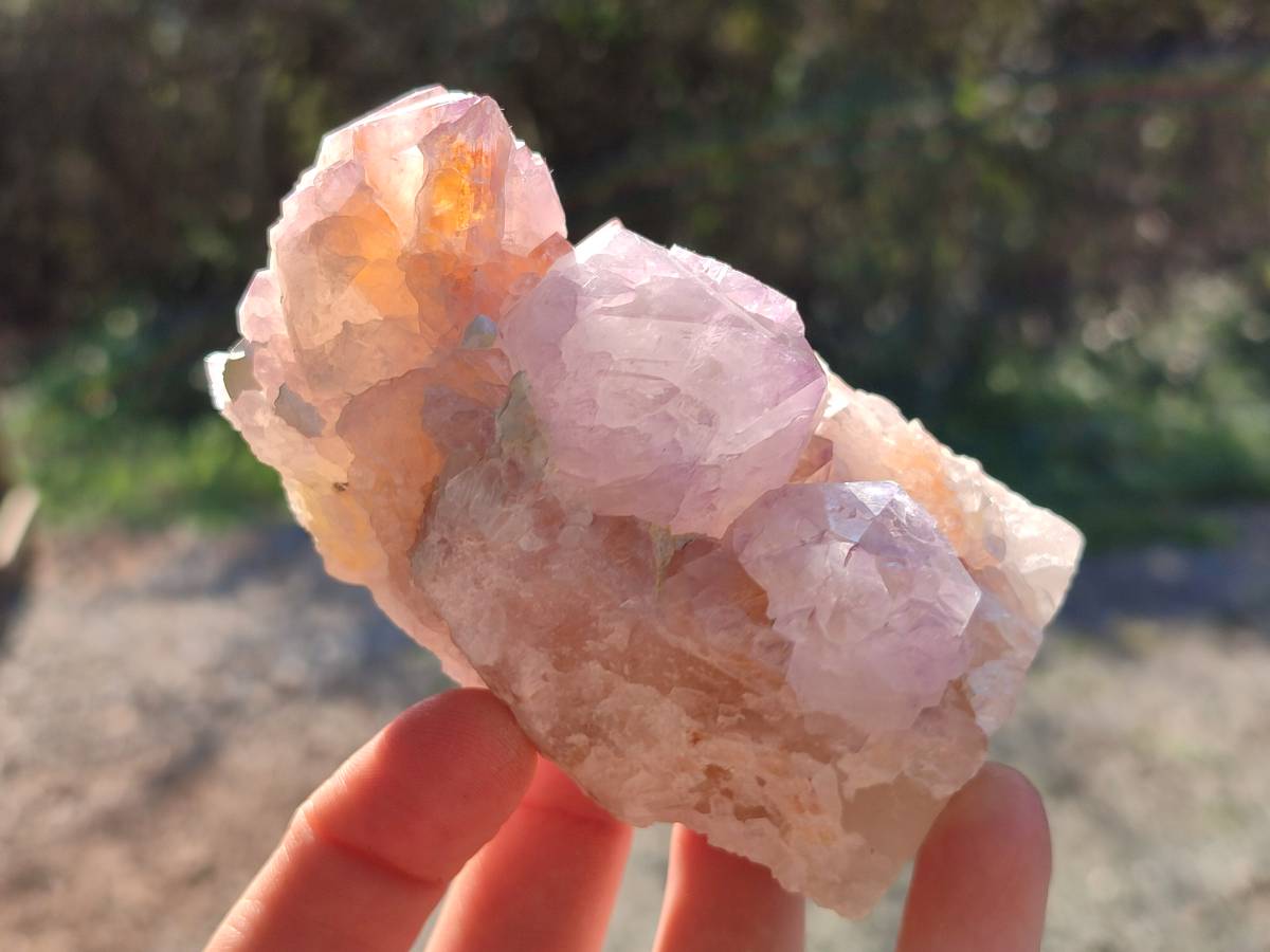 Natural Sunburst Amethyst Spirit Quartz Clusters x 3 From Boekenhouthoek, South Africa - Toprock Gemstones and Minerals 