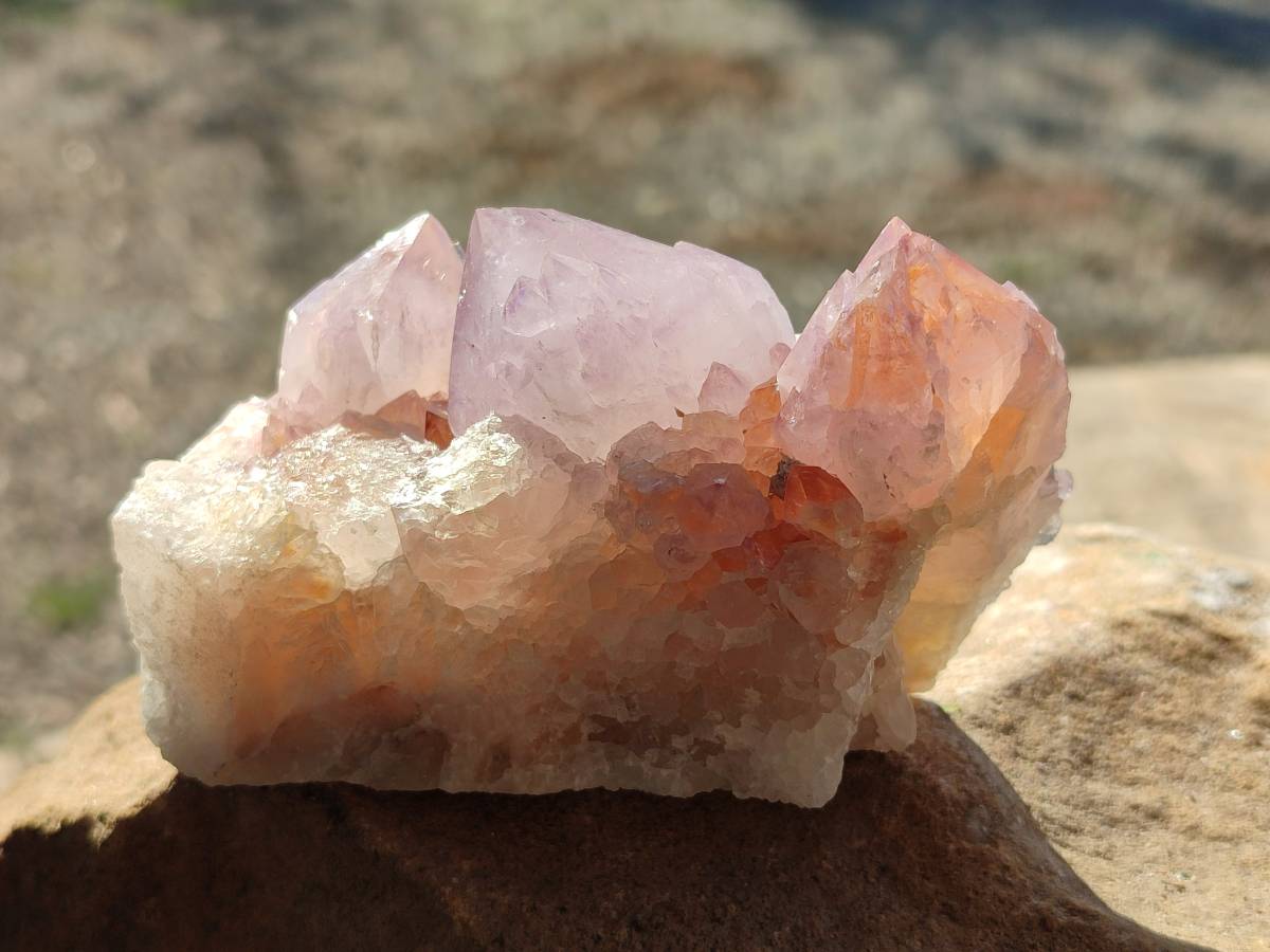 Natural Sunburst Amethyst Spirit Quartz Clusters x 3 From Boekenhouthoek, South Africa - Toprock Gemstones and Minerals 