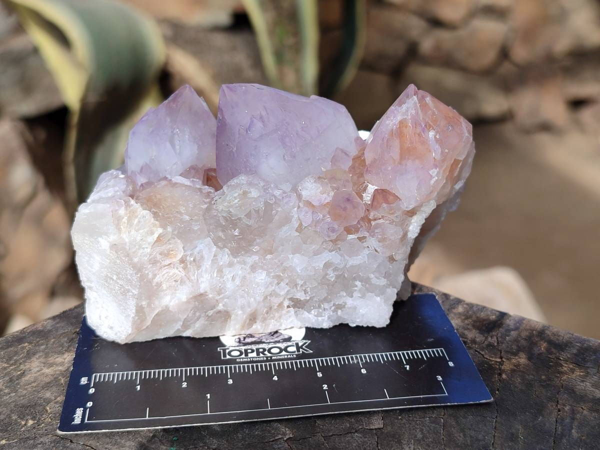 Natural Sunburst Amethyst Spirit Quartz Clusters x 3 From Boekenhouthoek, South Africa - Toprock Gemstones and Minerals 
