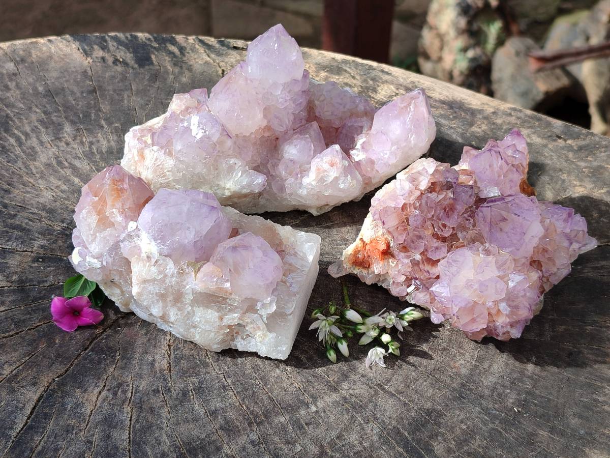 Natural Sunburst Amethyst Spirit Quartz Clusters x 3 From Boekenhouthoek, South Africa - Toprock Gemstones and Minerals 