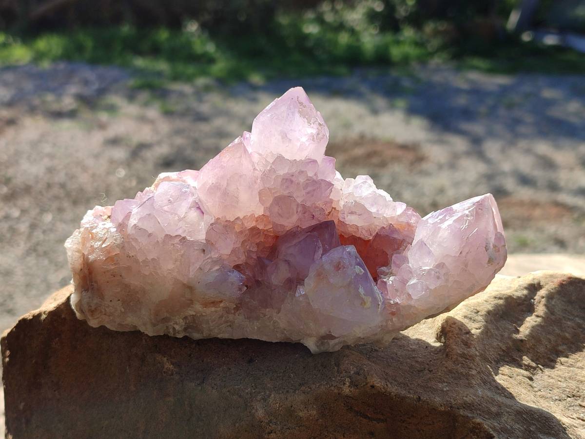 Natural Sunburst Amethyst Spirit Quartz Clusters x 3 From Boekenhouthoek, South Africa - Toprock Gemstones and Minerals 