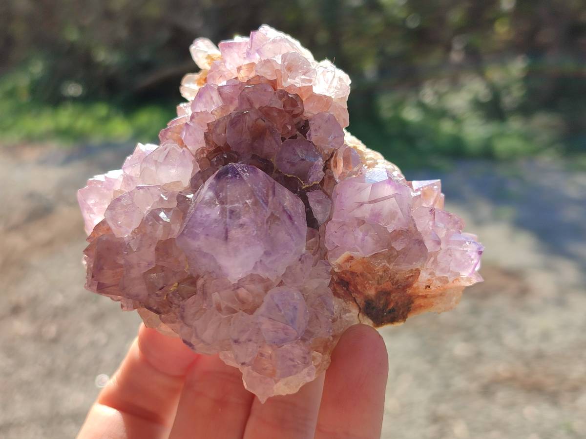 Natural Sunburst Amethyst Spirit Quartz Clusters x 3 From Boekenhouthoek, South Africa - Toprock Gemstones and Minerals 