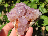 Natural Sunburst Amethyst Spirit Quartz Clusters x 3 From Boekenhouthoek, South Africa