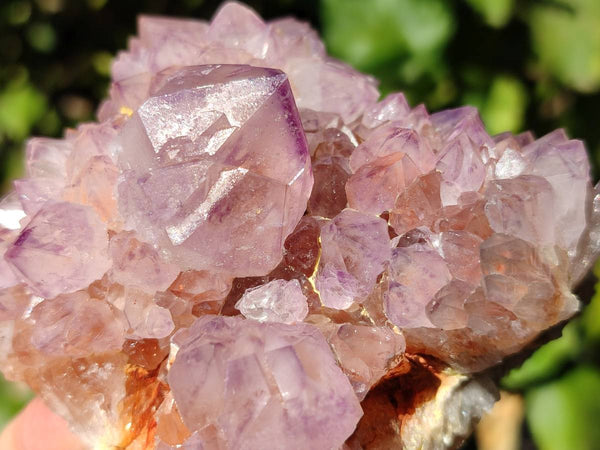 Natural Sunburst Amethyst Spirit Quartz Clusters x 3 From Boekenhouthoek, South Africa