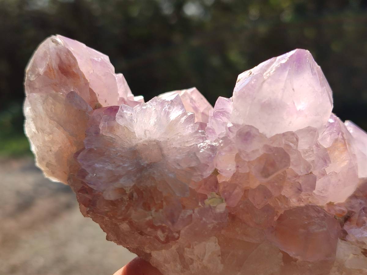 Natural Sunburst Amethyst Spirit Quartz Clusters x 3 From Boekenhouthoek, South Africa - Toprock Gemstones and Minerals 